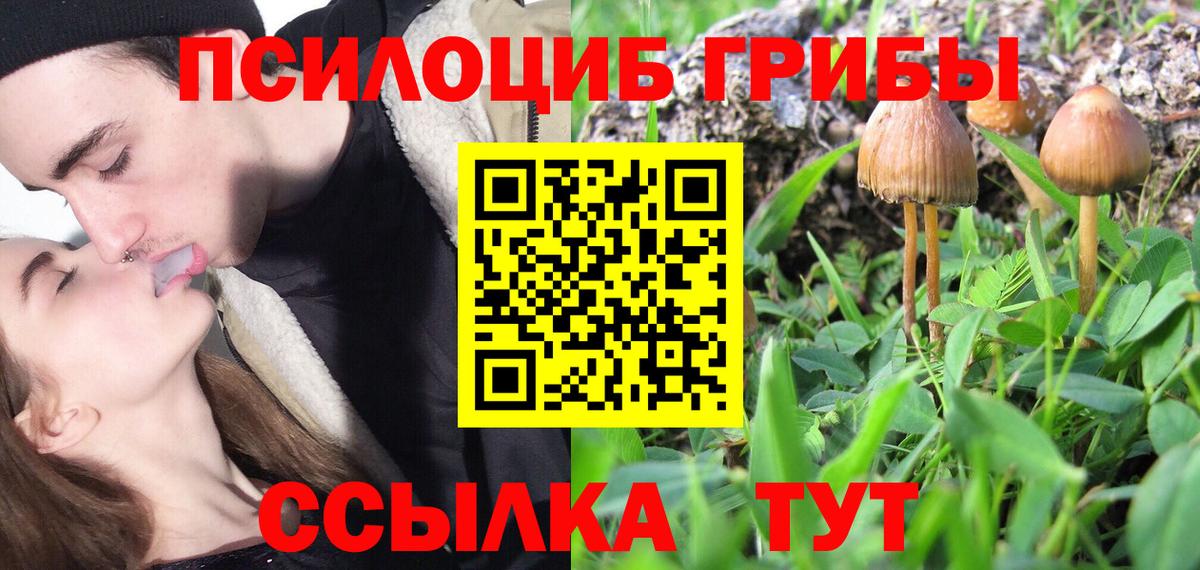 Орехово-Зуево  Псилоцибиновые грибы Psilocybe  Вход с VPN  наркота  Галлюциногенные грибы Psilocybe 